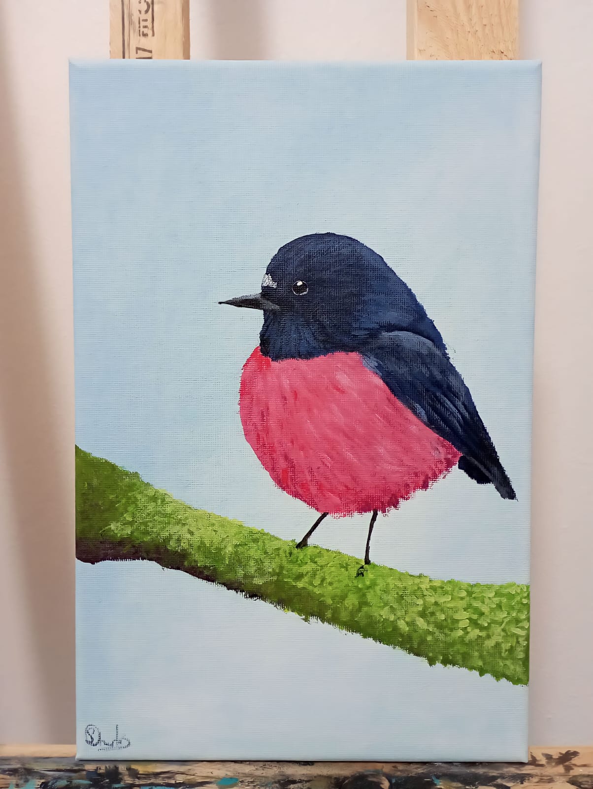 RedBird Canvas Frame